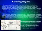 Lietuvos šiluminės elektrinės 16 puslapis