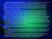 Lietuvos šiluminės elektrinės 19 puslapis