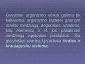 Širdies ir kraujagyslių sistemos funkcijos įvertinimas 2 puslapis