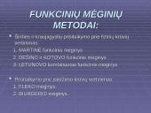 Širdies ir kraujagyslių sistemos funkcijos įvertinimas 13 puslapis