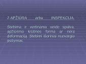 Širdies ir kraujagyslių sistemos funkcijos įvertinimas 5 puslapis