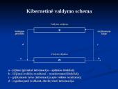 Šiuolaikinei vadybai būdingi bruožai 11 puslapis