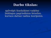 Šiuolaikinei vadybai būdingi bruožai 5 puslapis