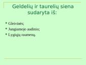 Šlapimo organų sistema, systema urinarium 13 puslapis