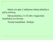 Šlapimo organų sistema, systema urinarium 18 puslapis