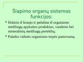 Šlapimo organų sistema, systema urinarium 3 puslapis