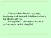 Šlapimo organų sistema, systema urinarium 7 puslapis