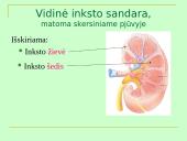 Šlapimo organų sistema, systema urinarium 9 puslapis