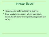 Šlapimo organų sistema, systema urinarium 10 puslapis