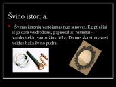 Švinas skaidrės 4 puslapis