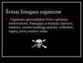 Švinas skaidrės 5 puslapis