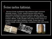 Švinas skaidrės 6 puslapis