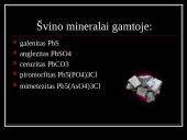 Švinas skaidrės 7 puslapis