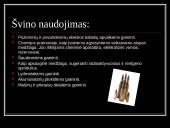 Švinas skaidrės 8 puslapis