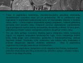 Tarptautinė prekyba, jos nauda bei žala 2 puslapis