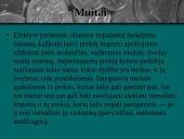 Tarptautinė prekyba, jos nauda bei žala 11 puslapis