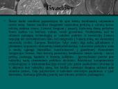 Tarptautinė prekyba, jos nauda bei žala 20 puslapis