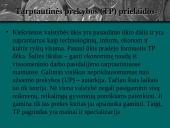 Tarptautinė prekyba, jos nauda bei žala 4 puslapis