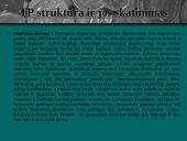 Tarptautinė prekyba, jos nauda bei žala 7 puslapis