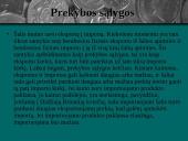 Tarptautinė prekyba, jos nauda bei žala 9 puslapis