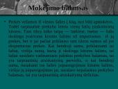 Tarptautinė prekyba, jos nauda bei žala 10 puslapis