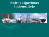 Tarptautinės prekybos organizacijos 13 puslapis