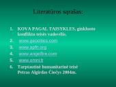Tarptautinės ginkluoto konflikto teisės laikymasis bei plėtra 2 puslapis