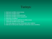 Tarptautinės ginkluoto konflikto teisės laikymasis bei plėtra 3 puslapis