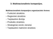 Tarptautinės kompanijos pasaulio ūkyje 17 puslapis