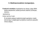 Tarptautinės kompanijos pasaulio ūkyje 18 puslapis