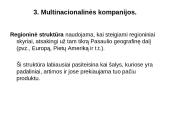 Tarptautinės kompanijos pasaulio ūkyje 19 puslapis