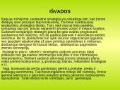 Tarptautinės konkurencijos strategija 11 puslapis