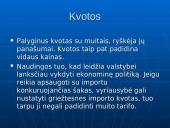 Tarptautinės prekybos reguliavimo priemonės ir jų efektyvumas 12 puslapis