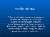 Tarptautinės prekybos reguliavimo priemonės ir jų efektyvumas 13 puslapis