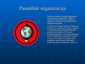 Tarptautinės rinkodaros organizavimas 6 puslapis