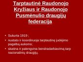 Tarptautinis Raudonojo Kryžiaus komitetas 11 puslapis