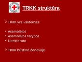 Tarptautinis Raudonojo Kryžiaus komitetas 14 puslapis