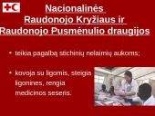 Tarptautinis Raudonojo Kryžiaus komitetas 7 puslapis
