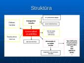 Tarpvalstybinės ekonominės sąjungos įvairiose pasaulio regionuose 13 puslapis
