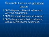 Tarpvalstybinės ekonominės sąjungos įvairiose pasaulio regionuose 17 puslapis