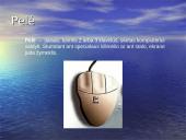 Techninė kompiuterių įranga ir jos rūšys 7 puslapis