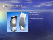 Techninė kompiuterių įranga ir jos rūšys 10 puslapis