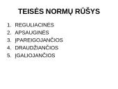 Teisės teorijos sąvoka 8 puslapis