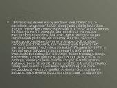 Televizijos Lietuvoje 20 puslapis