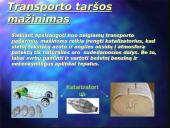 Transporto tarša 13 puslapis