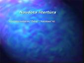 Transporto tarša 15 puslapis