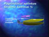 Transporto tarša 4 puslapis