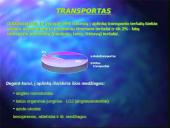 Transporto tarša 5 puslapis