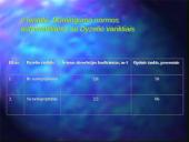 Transporto tarša 8 puslapis