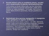 Treneris ir auklėtinių tėvai 7 puslapis